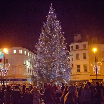 Crowd at giant Christmas tree